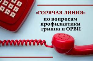 Всероссийская «горячая линия» по профилактике гриппа и ОРВИ Всероссийская «горячая линия» по профилактике гриппа и ОРВИ.