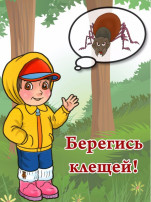Осторожно – клещи! Осторожно – клещи!.