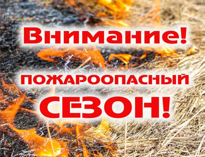 Памятка по правилам пожарной безопасности в весенне-летний пожароопасный период Памятка по правилам пожарной безопасности в весенне-летний пожароопасный период.